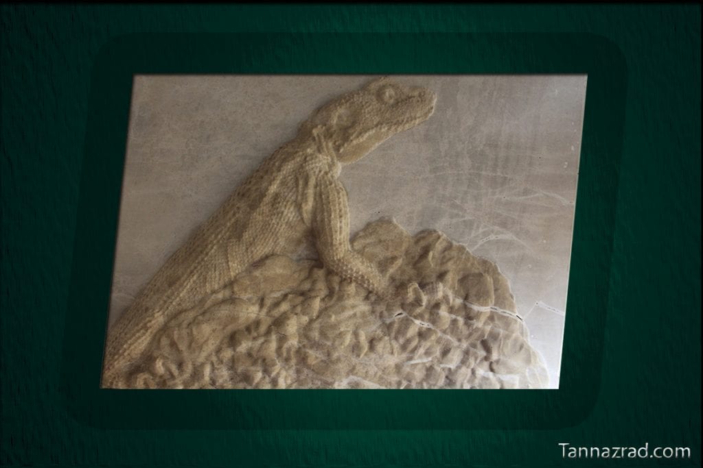 AGAMA GHAFGHAZI STONE ENGRAVING