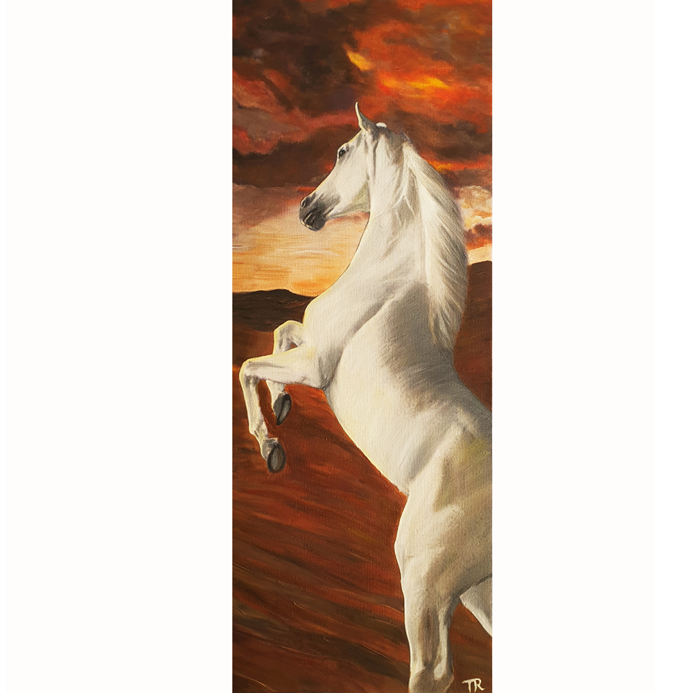white-horse-in-desert-30-x-80-cms-February-2021